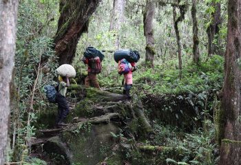 machame route to kilimanjaro
