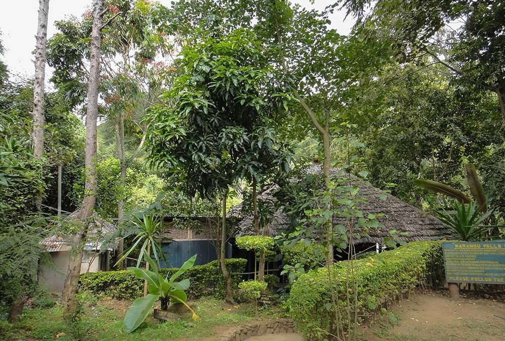 Marangu Village